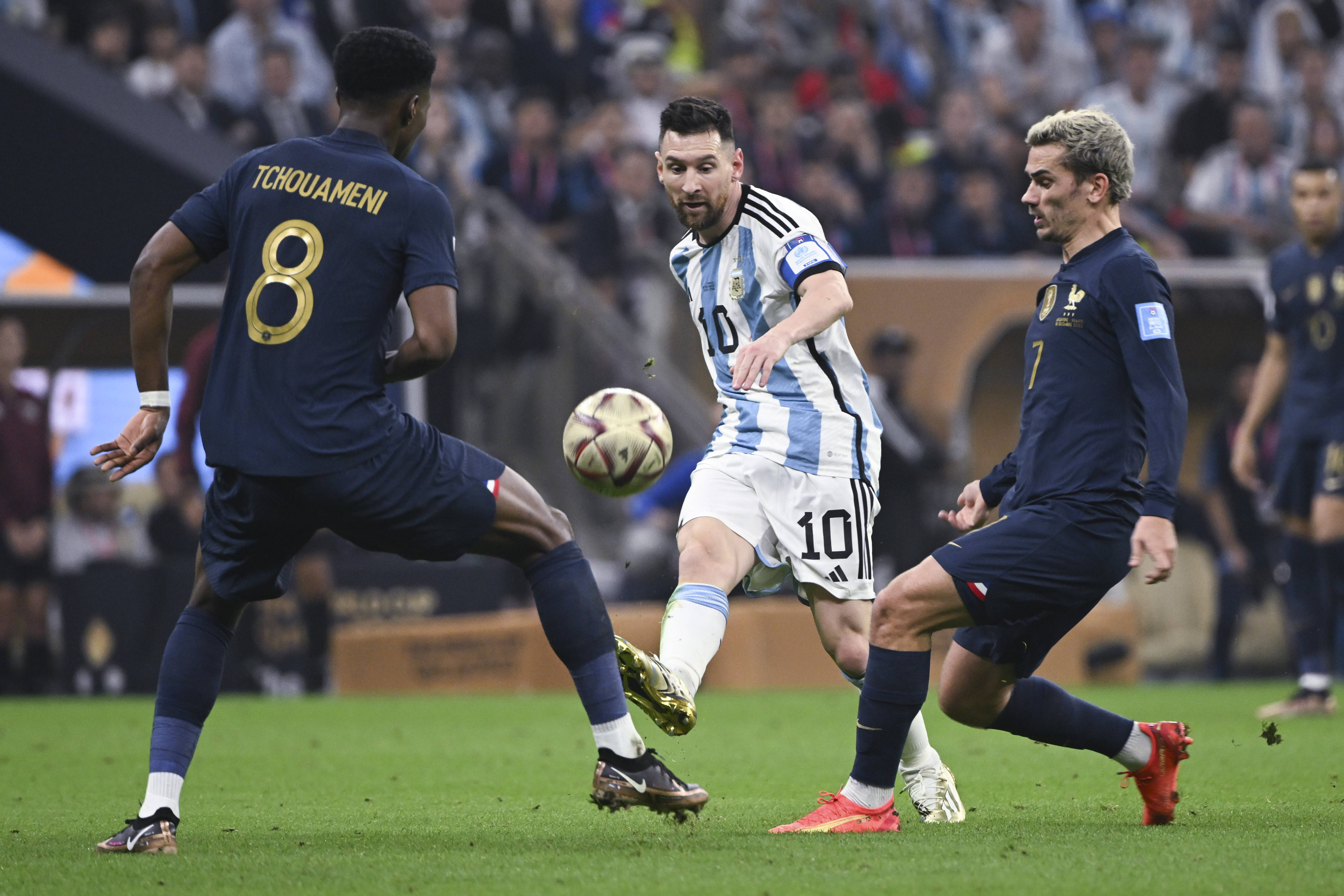 世界杯热度飙升，网友热议不断