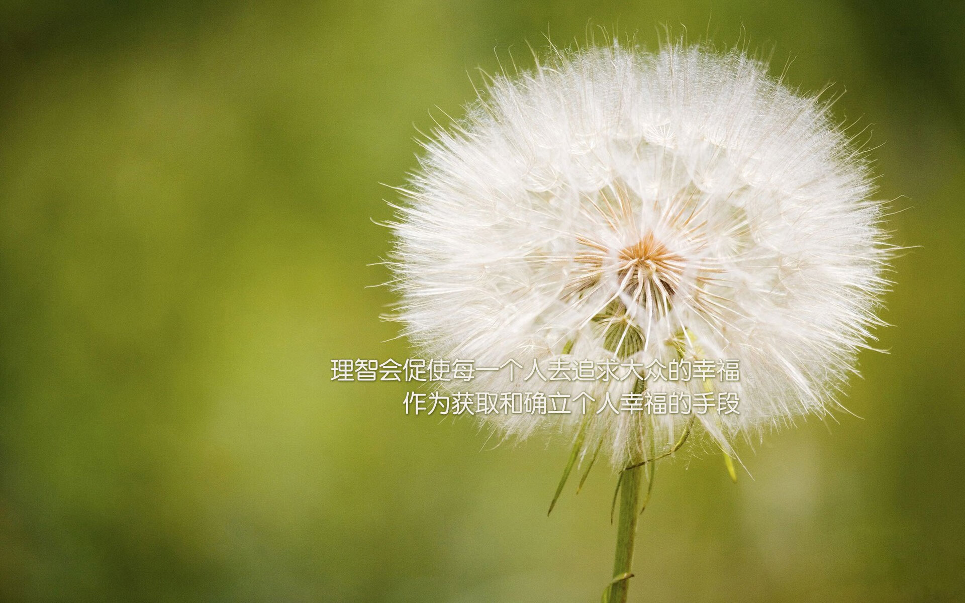 钱塘江潮逆转新奥尔良风云,当杜兰特的关键球响起越剧腔