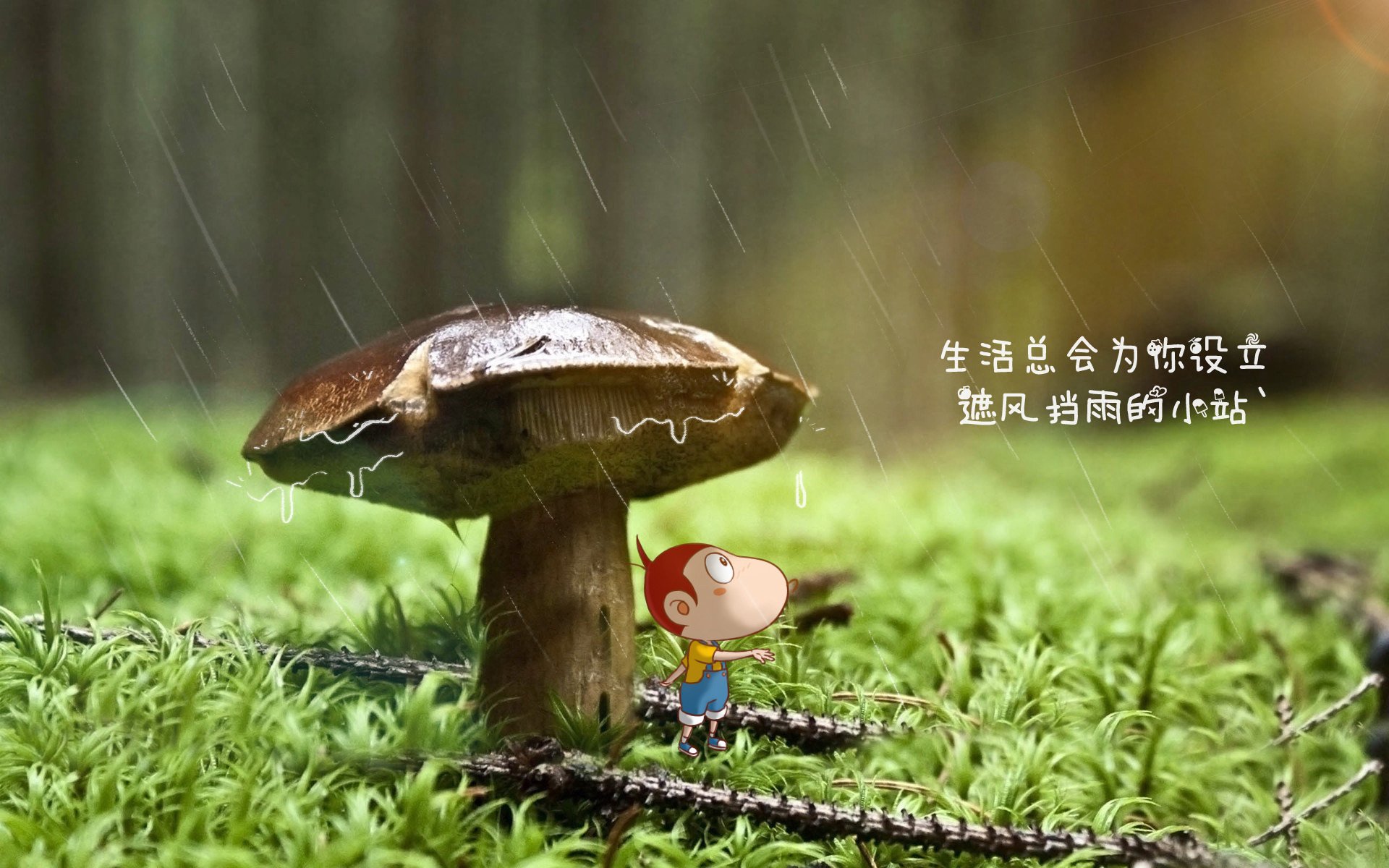 新王登基!阿尔卡拉斯联合杯夺冠改写历史,职业网球格局面临重塑
