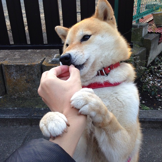 中场节拍器与战术洪流，法比尼奥存在感拉满，里昂冲垮希腊防线