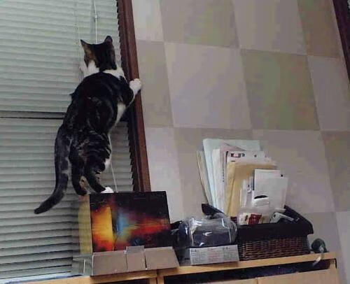 窒息防守编织胜利囚笼，浓眉化身定海神针，爵士关键先生降下绿凯光环