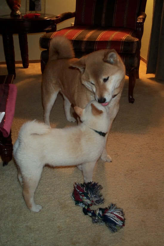 跨越太平洋的硝烟，当湖人遇见吉林，伦纳德写下的篮球平行宇宙