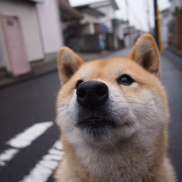 当终场哨响,全世界都在讨论那个没上场的人,哈兰德幽灵般的存在感如何主宰了葡希之战?