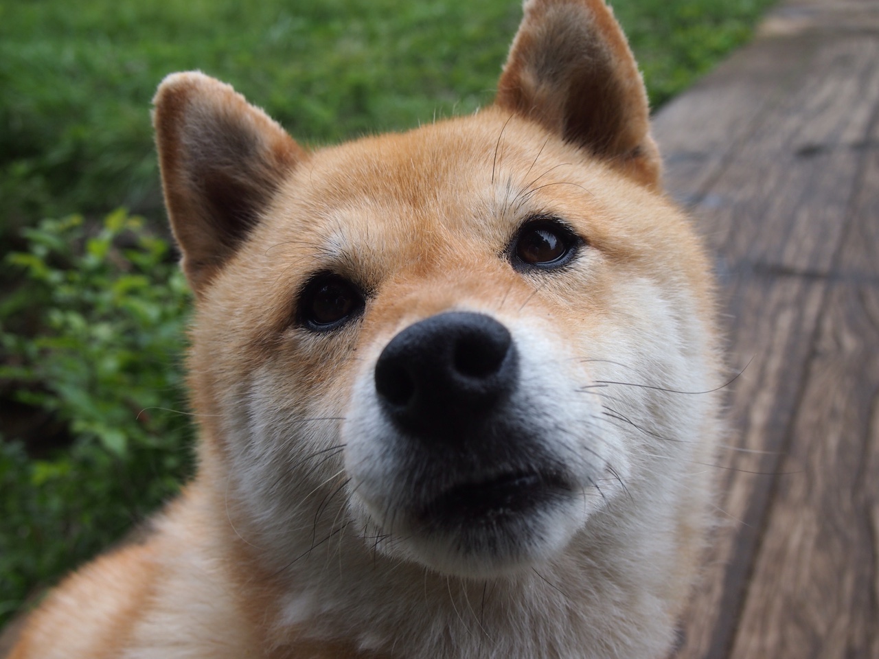 战术博弈中定海神针，尼克斯战术体系全面压制吉林队，保罗化身关键先生