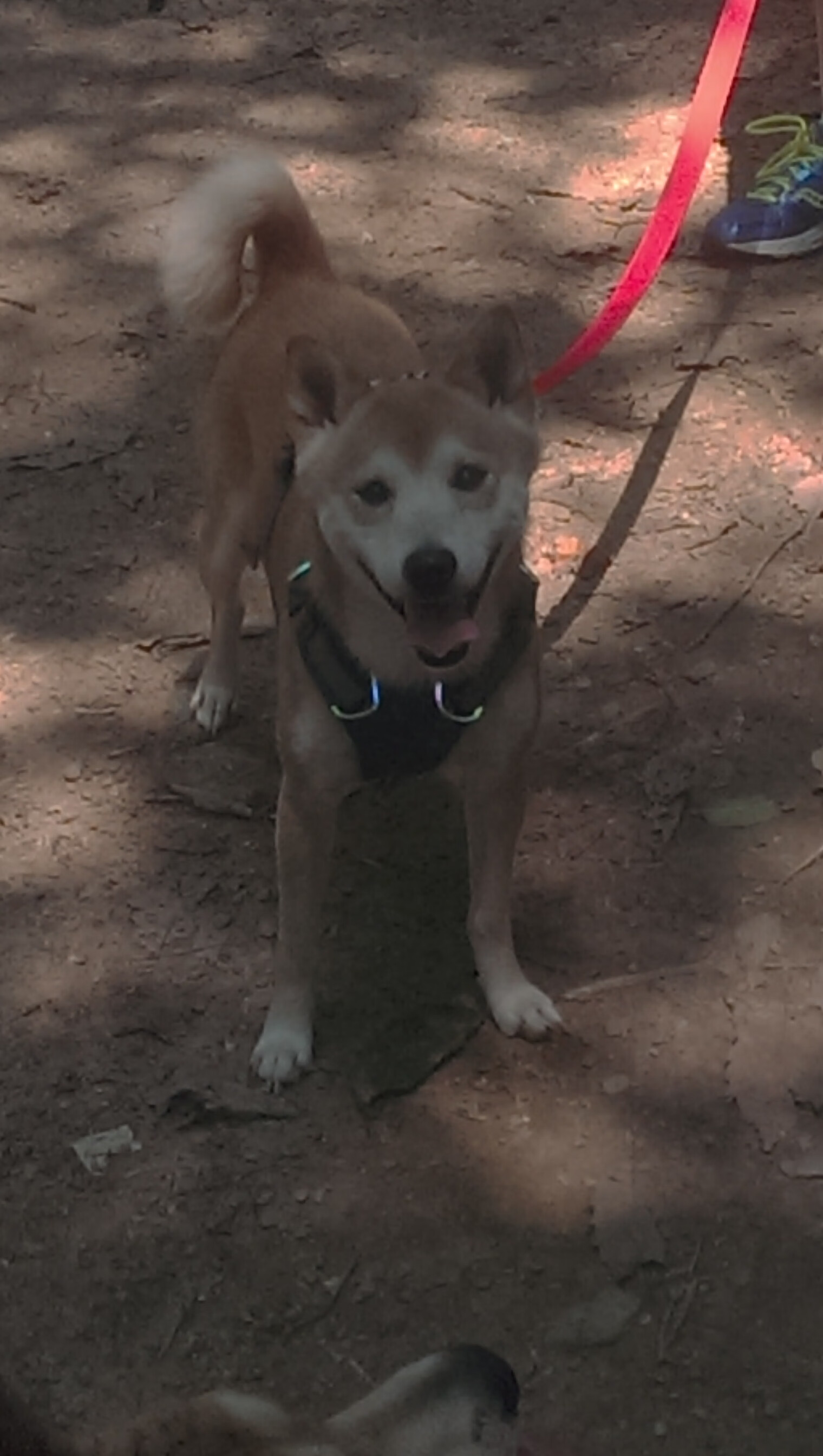 隐形冠军,库里冠军级表现的真正含义