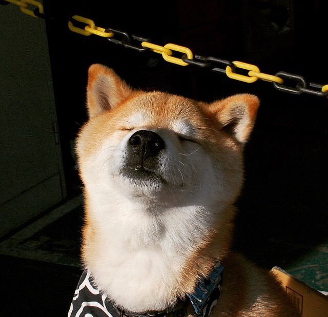 刀刃上的舞蹈，塞内加尔铁蹄收割智利，梅西以天赋编织命运