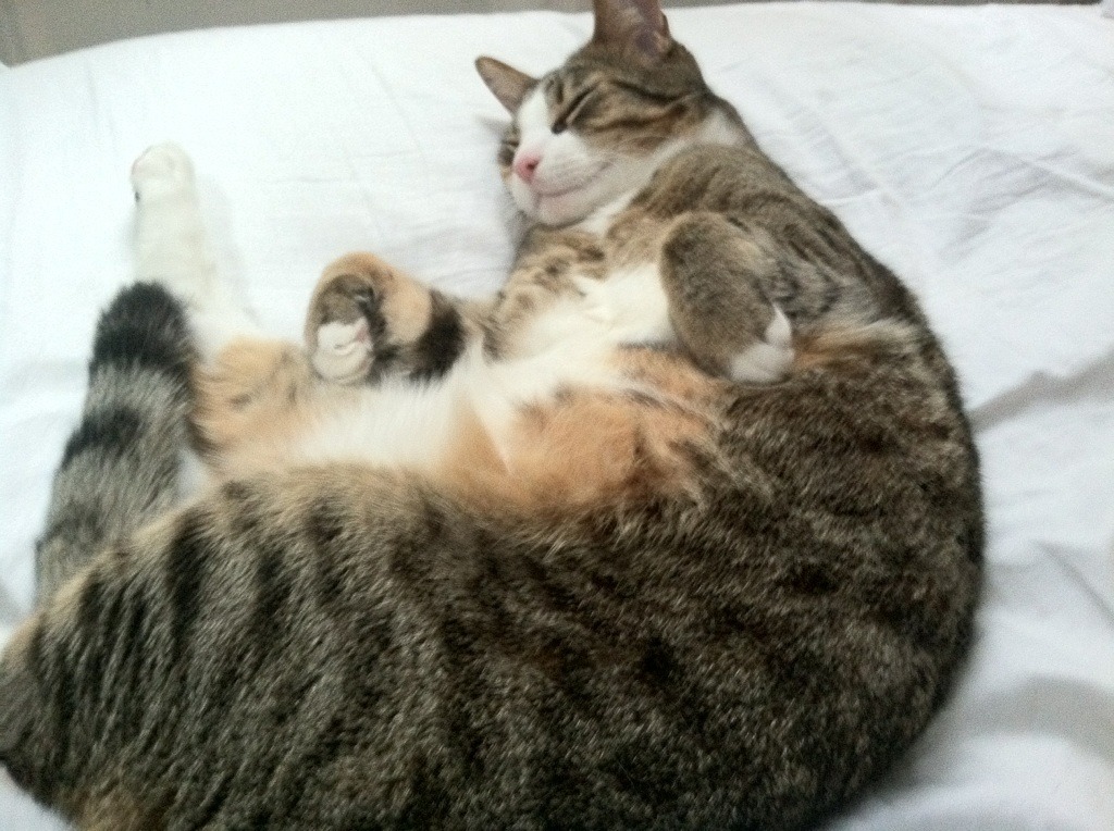 缺席的审判官，当杜兰特字母哥的对决被詹姆斯幽灵笼罩