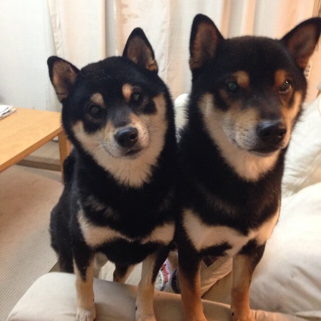 缺席的审判官，当杜兰特字母哥的对决被詹姆斯幽灵笼罩